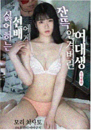 山河旧信剧集封面